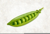 Clipart In Pea Pod Image