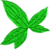 Green Leaf Clip Art