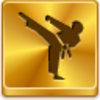 Karate Icon Image