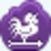 Weathercock Icon Image