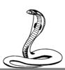 Clipart Cobra Image