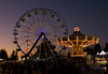 Sonoma County Fair Image