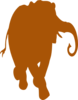 Burnt Orange Elephant Hi Image