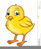 Cartoon Chick Clipart Image