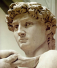Michelangelo David Head Image