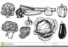 Free Clipart Artichoke Image