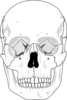 Skull Clip Art