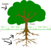 Partsofatree Clip Art