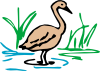 Goose Clip Art