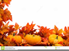 Autumn Fall Fest Clipart Image