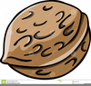 Animated Nut Clipart Image