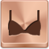 Bra Icon Image