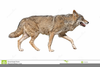 Running Wolf Clipart Image