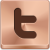 Twitter Icon Image