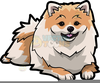 Free Clipart Pomeranian Image