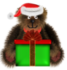 Santabear Image