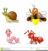 Clipart Firefly Image