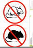 Clipart Of Rodents Image