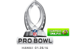 Pro Bowl Image