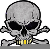 Free Skull And Bones Clipart Image