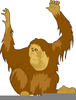 Free Clipart Ape Image