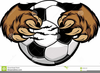 Clipart Of Bear Claws Image