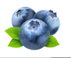 Free Blueberries Clipart Image