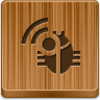 Radio Bug Icon Image