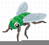 Clipart Flies Image