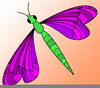 Free Clipart Of A Popsicle Image