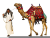 Free Clipart Camels Image
