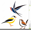 Bird Clipart Graphic Image
