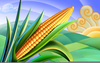 Clipart Corn Roast Image