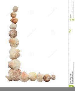 Border Clipart Sea Shell Image