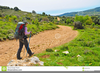 Girl Hiking Clipart Image