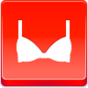 Bra Icon Image