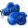 Boxing Gloves Blue 7 Image