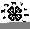 H Beef Club Clipart Image