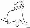 Ferret Clipart Image