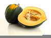 Acorn Squash Clipart Image