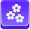 Flowers Icon Image