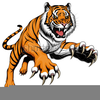 Red Tiger Clipart Image