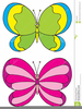 Free Buterfly Clipart Image