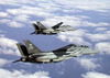 Two F-14 Tomcats Of Fighter Squadron One Zero Three (vf-103) Image