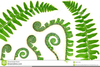 Fern Border Clipart Image