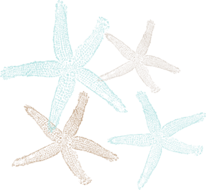 Starfish Prints Clip Art