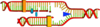 Blank Dna Replication - Only Ligase, Helicase And Polymerase Clip Art