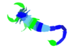 Scorpion Clip Art