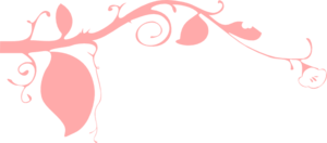 Branch Leaves Clip Art