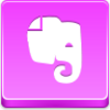 Evernote Icon Image